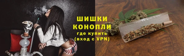 ПСИЛОЦИБИНОВЫЕ ГРИБЫ Покровск