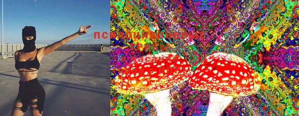 ПСИЛОЦИБИНОВЫЕ ГРИБЫ Покровск