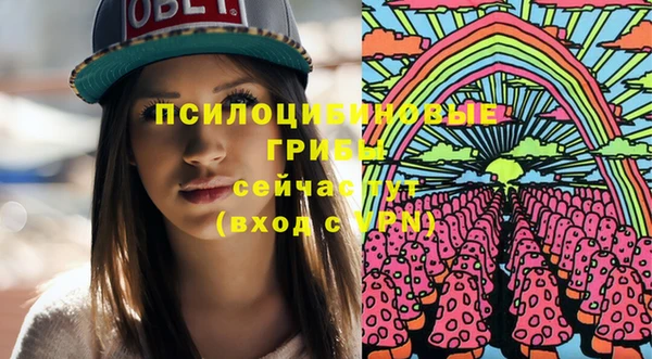 ПСИЛОЦИБИНОВЫЕ ГРИБЫ Покровск