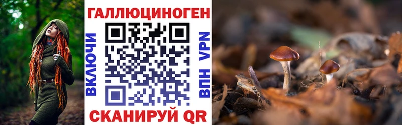 ОМГ ОМГ ссылка  Сольвычегодск  Галлюциногенные грибы MAGIC MUSHROOMS 